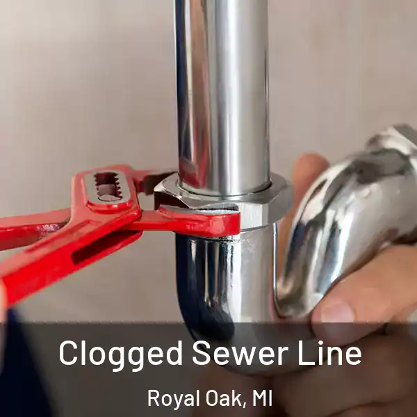  Clogged Sewer Line Royal Oak, MI