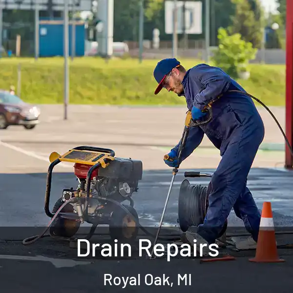  Drain Repairs Royal Oak, MI