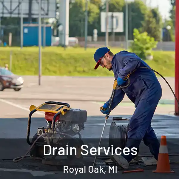  Drain Services Royal Oak, MI