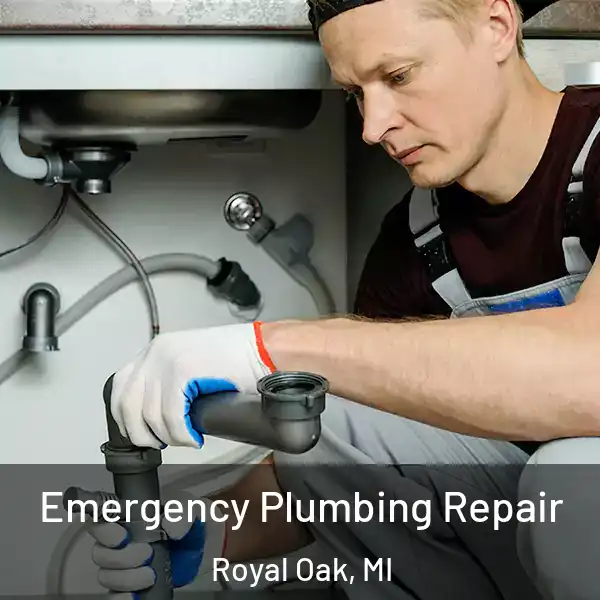  Emergency Plumbing Repair Royal Oak, MI