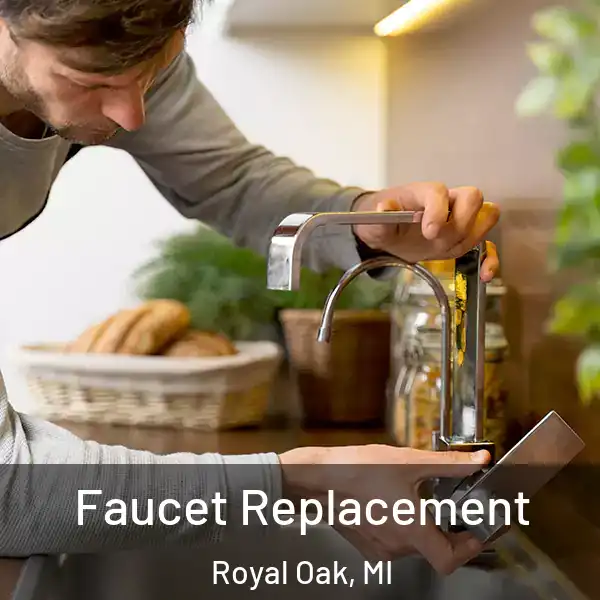  Faucet Replacement Royal Oak, MI