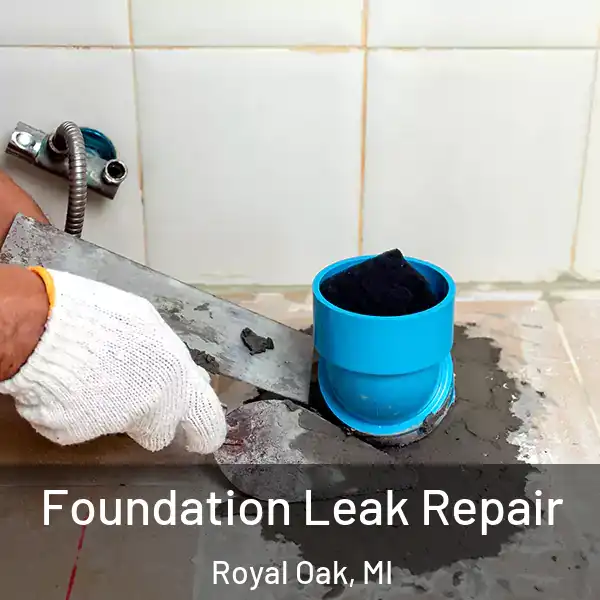  Foundation Leak Repair Royal Oak, MI