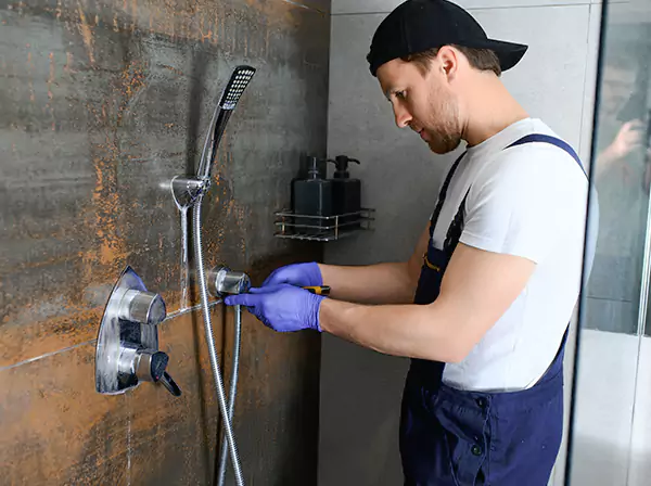 Plumbing Maintenance in Royal Oak