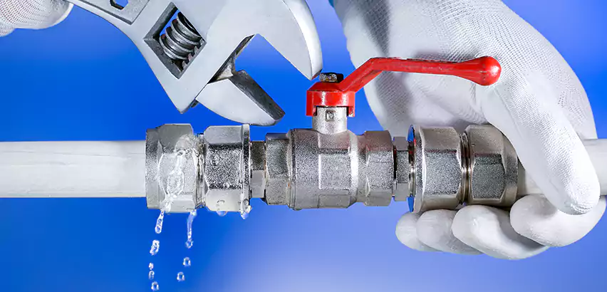 Water Line Repair in Royal Oak, MI