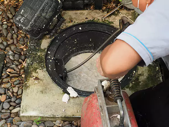 Why Choose Weltman Plumbing for Clogged Drain Repair in Royal Oak, MI?