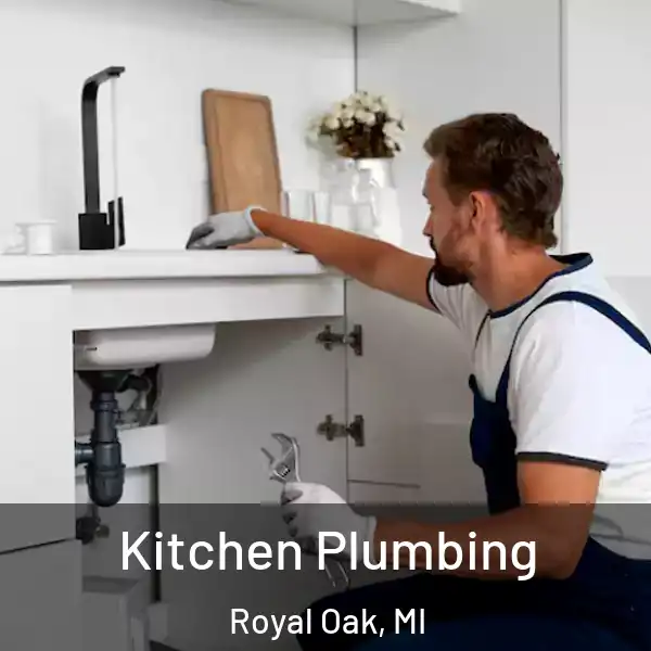  Kitchen Plumbing Royal Oak, MI