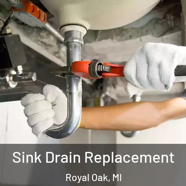  Sink Drain Replacement Royal Oak, MI