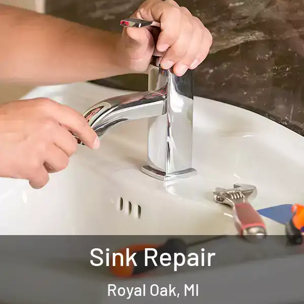  Sink Repair Royal Oak, MI