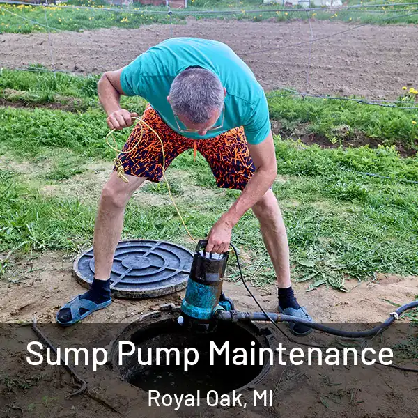  Sump Pump Maintenance Royal Oak, MI