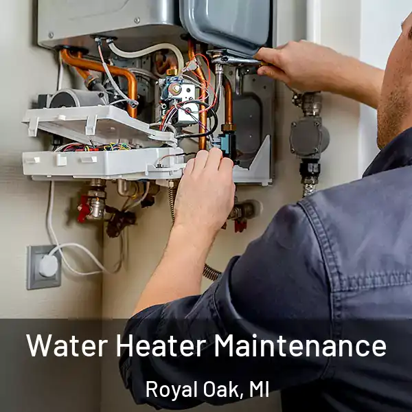  Water Heater Maintenance Royal Oak, MI