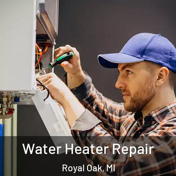  Water Heater Repair Royal Oak, MI