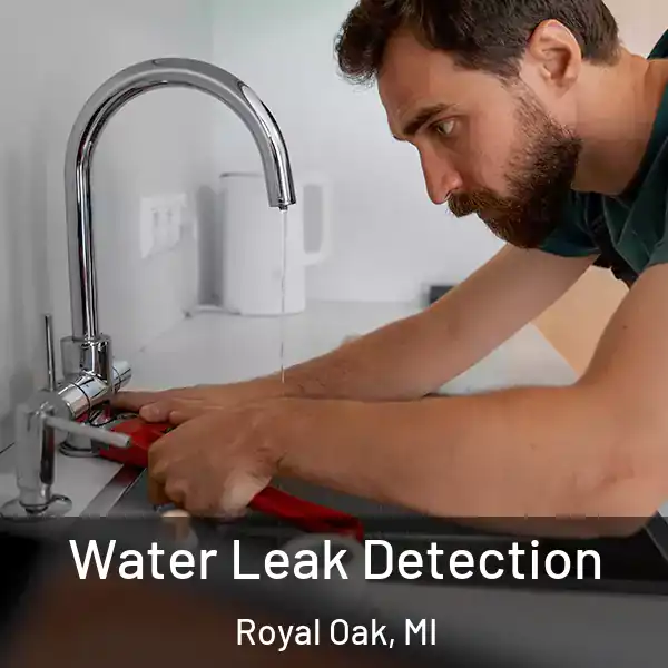  Water Leak Detection Royal Oak, MI