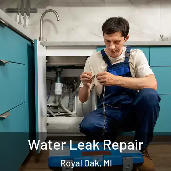  Water Leak Repair Royal Oak, MI